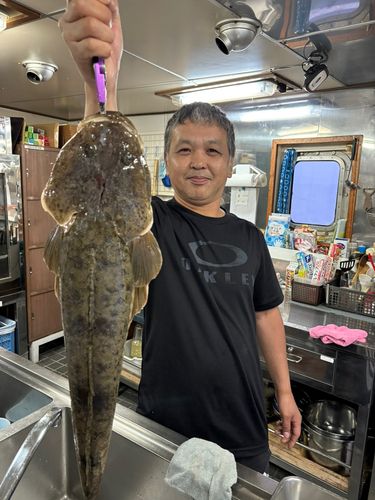 マゴチの釣果