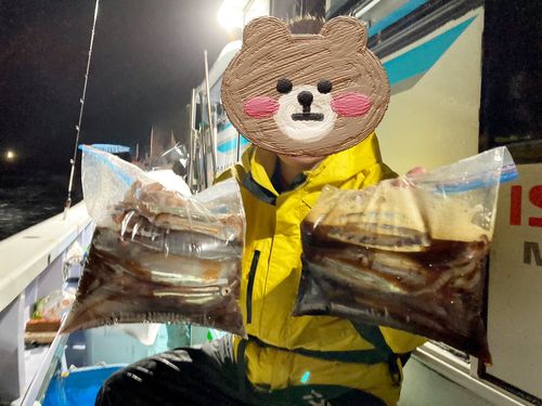 ムギイカの釣果