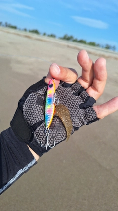 シタビラメの釣果