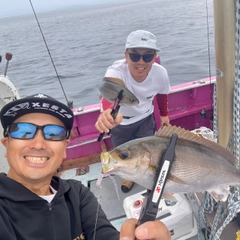 イサキの釣果