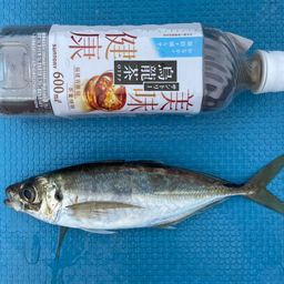アジ