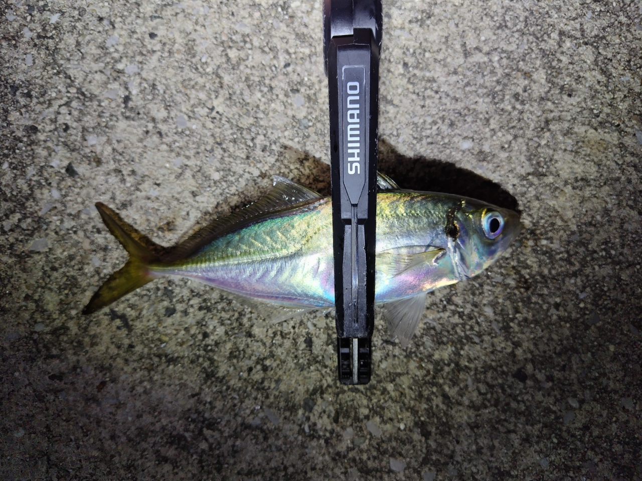 SHIMANO 20ソアレ エクスチューン S58SUL-Sの最安値・インプレ