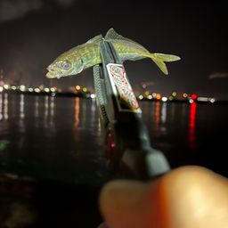 アジ
