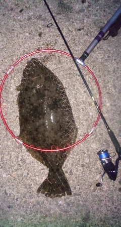 釣果