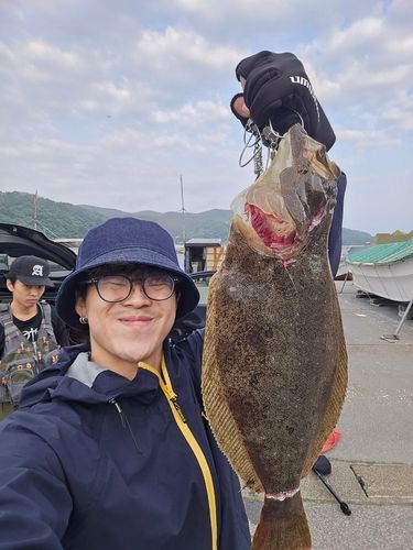 ヒラメの釣果