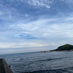 シロムツ