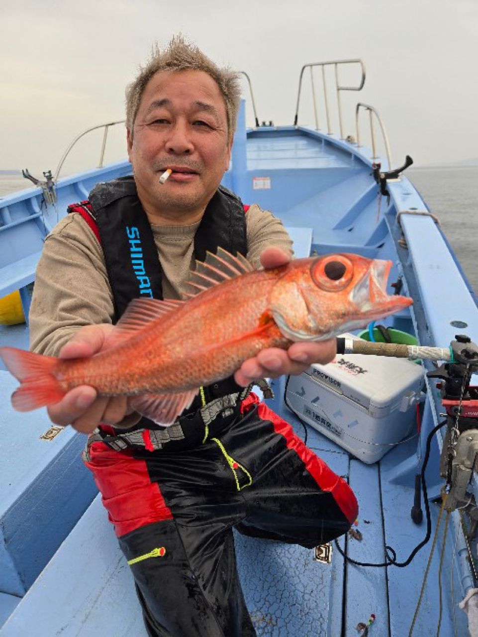 直正丸　釣果さんの釣果 1枚目の画像