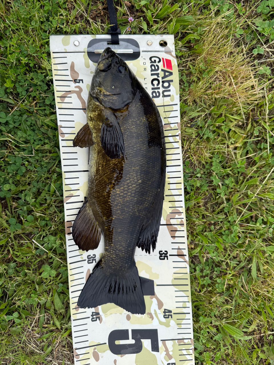 スモールマウスバス