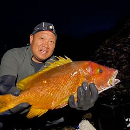 シブダイ