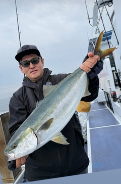 ワラサの釣果