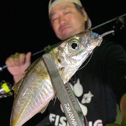 アジ
