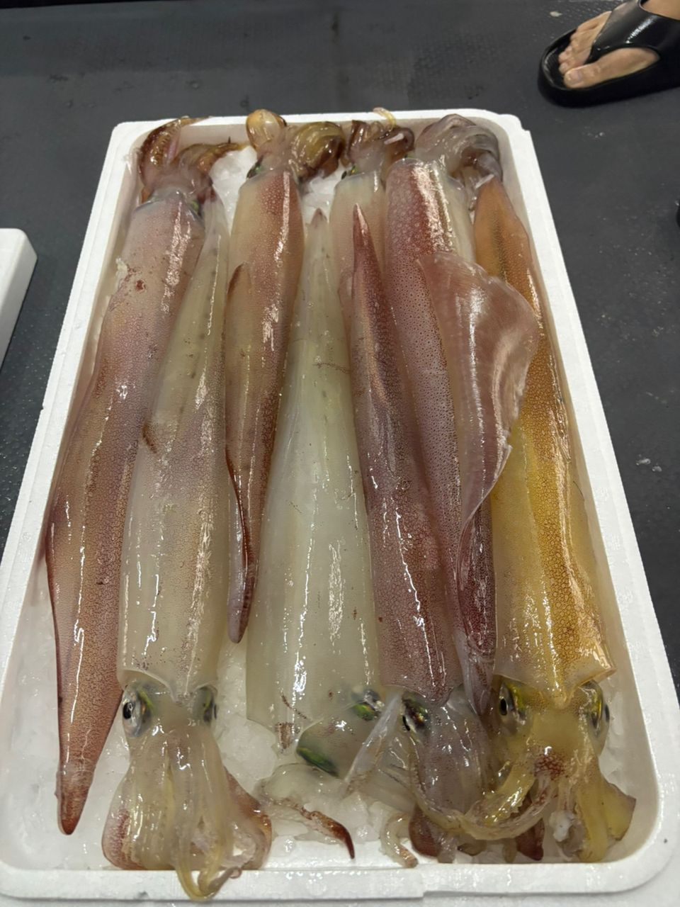 なっちん🎀さんの釣果 2枚目の画像