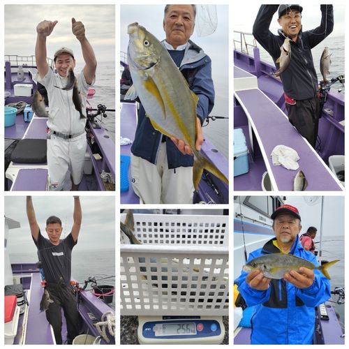 シマアジの釣果