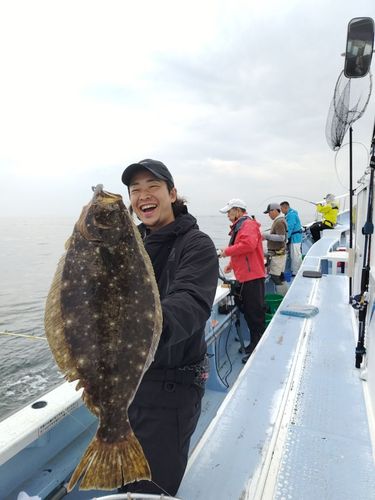 ヒラメの釣果