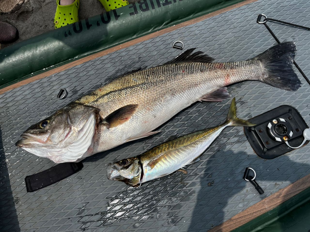 AbuGarcia ソルティーステージ プロトタイプ ジギングの最安値