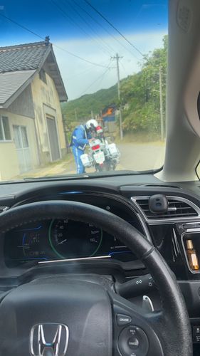 エソの釣果