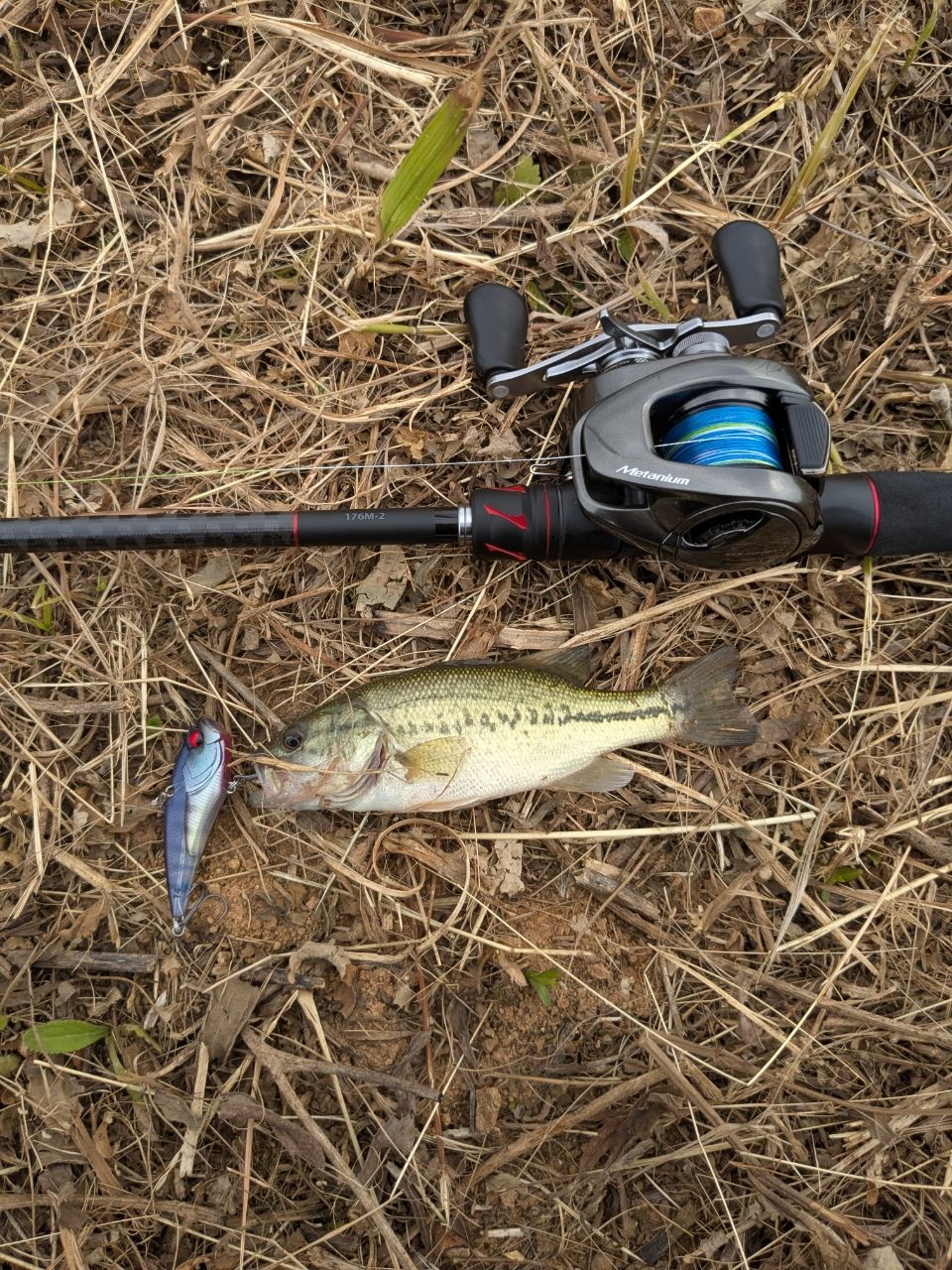 SHIMANO 20ゾディアス 176M-2の最安値・インプレ・釣果 | 本音の