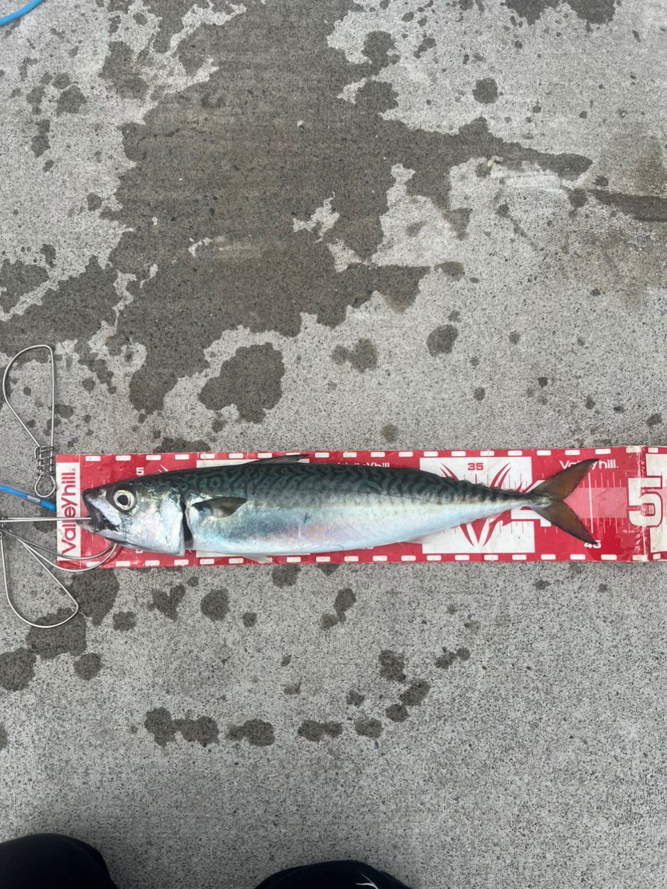 AbuGarcia ソルティーステージ KR-X ショアジギング SXJC