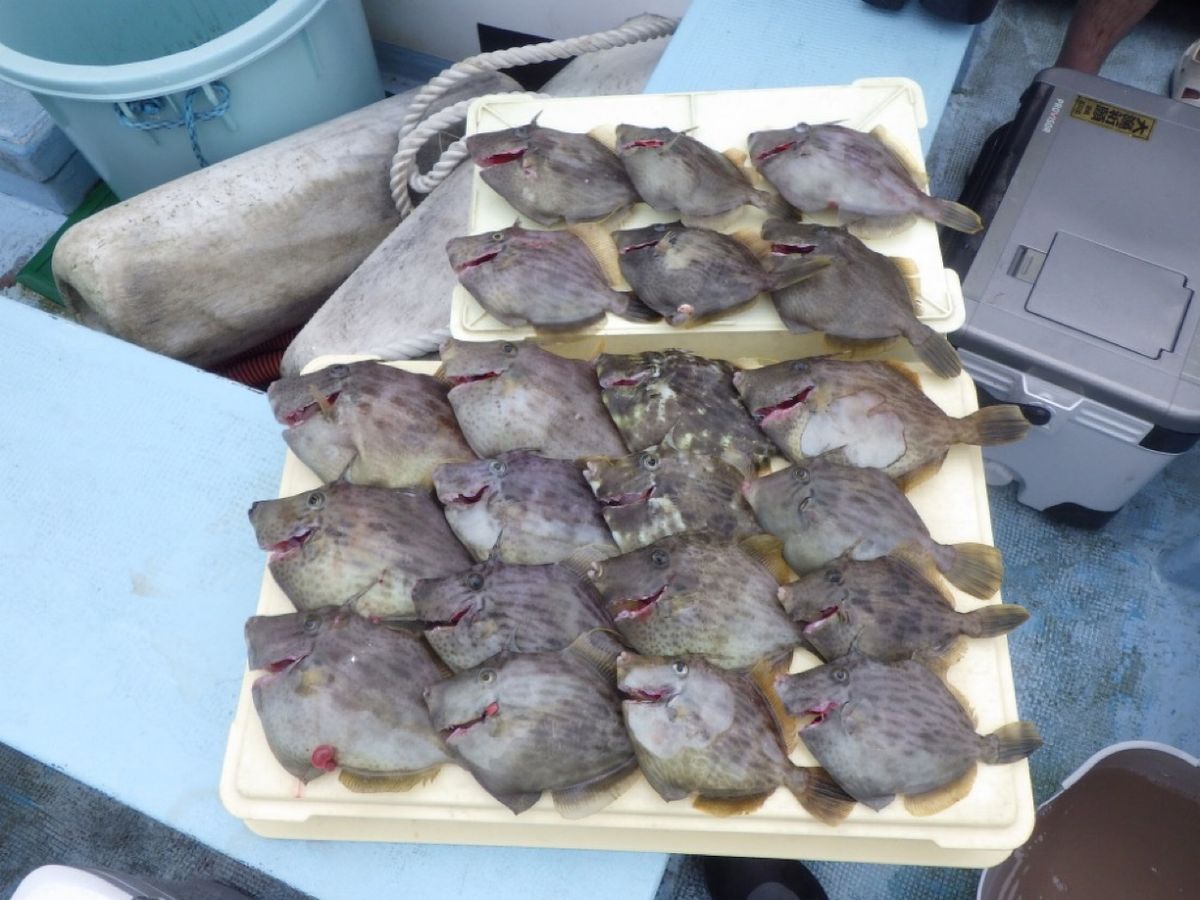 石川釣船@船長さんの釣果 2枚目の画像