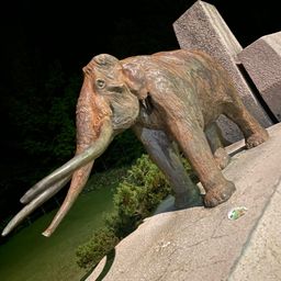 スモールマウスバス