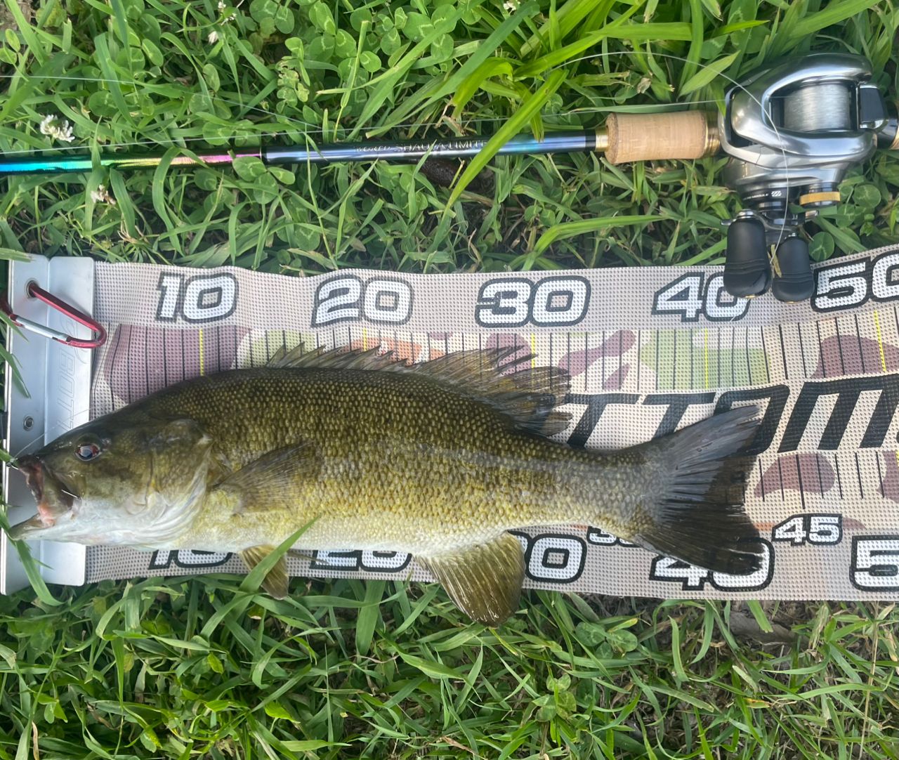 スモールマウスバス