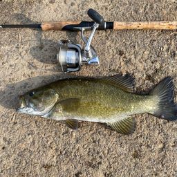 スモールマウスバス