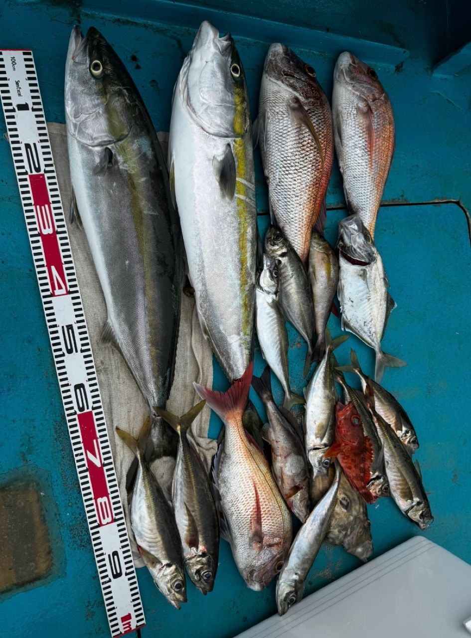 清和丸さんの釣果 2枚目の画像