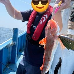 ホウボウ