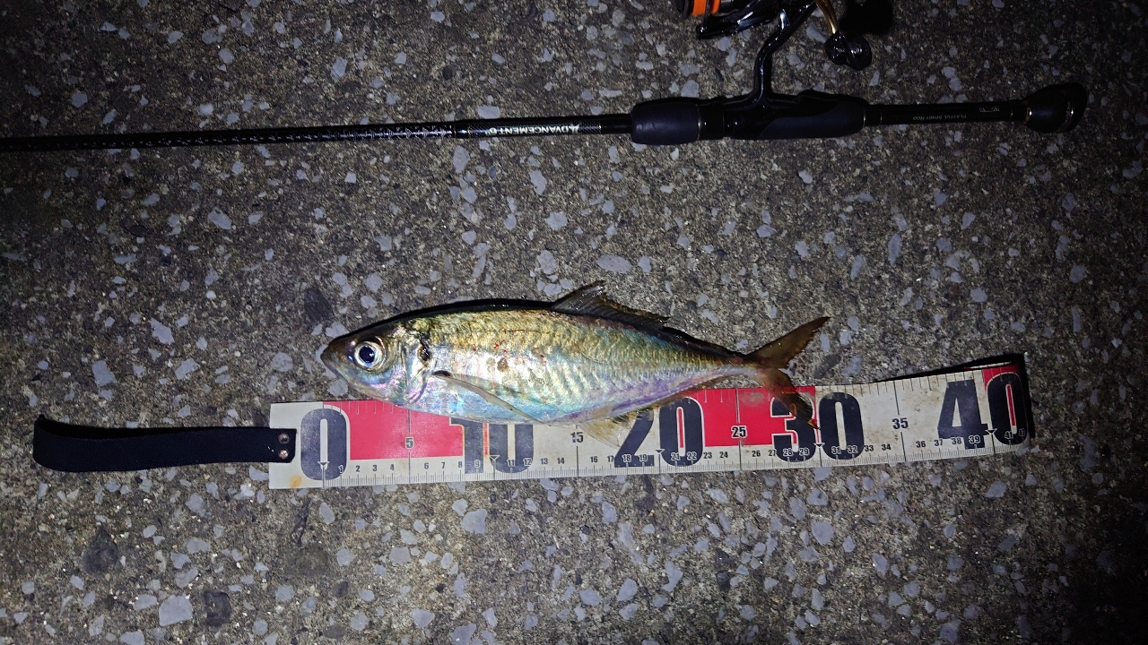 DAIWA 18イグジスト FC LT2000S-Hの最安値・インプレ・釣果