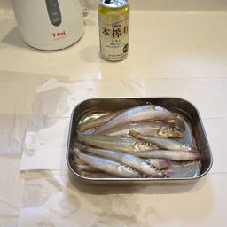 シロギス
