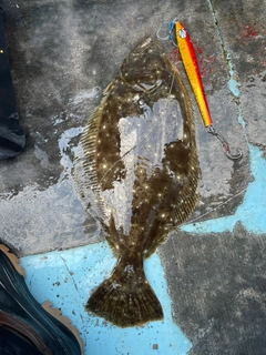 ヒラメの釣果
