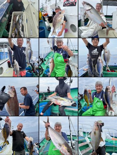 カンパチの釣果