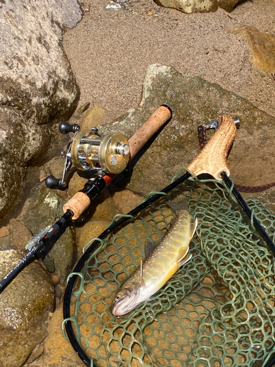 アブガルシア(Abu Garcia) トラウティンマーキスナノ 振出し