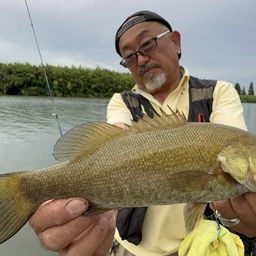 スモールマウスバス