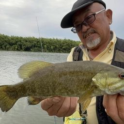 スモールマウスバス