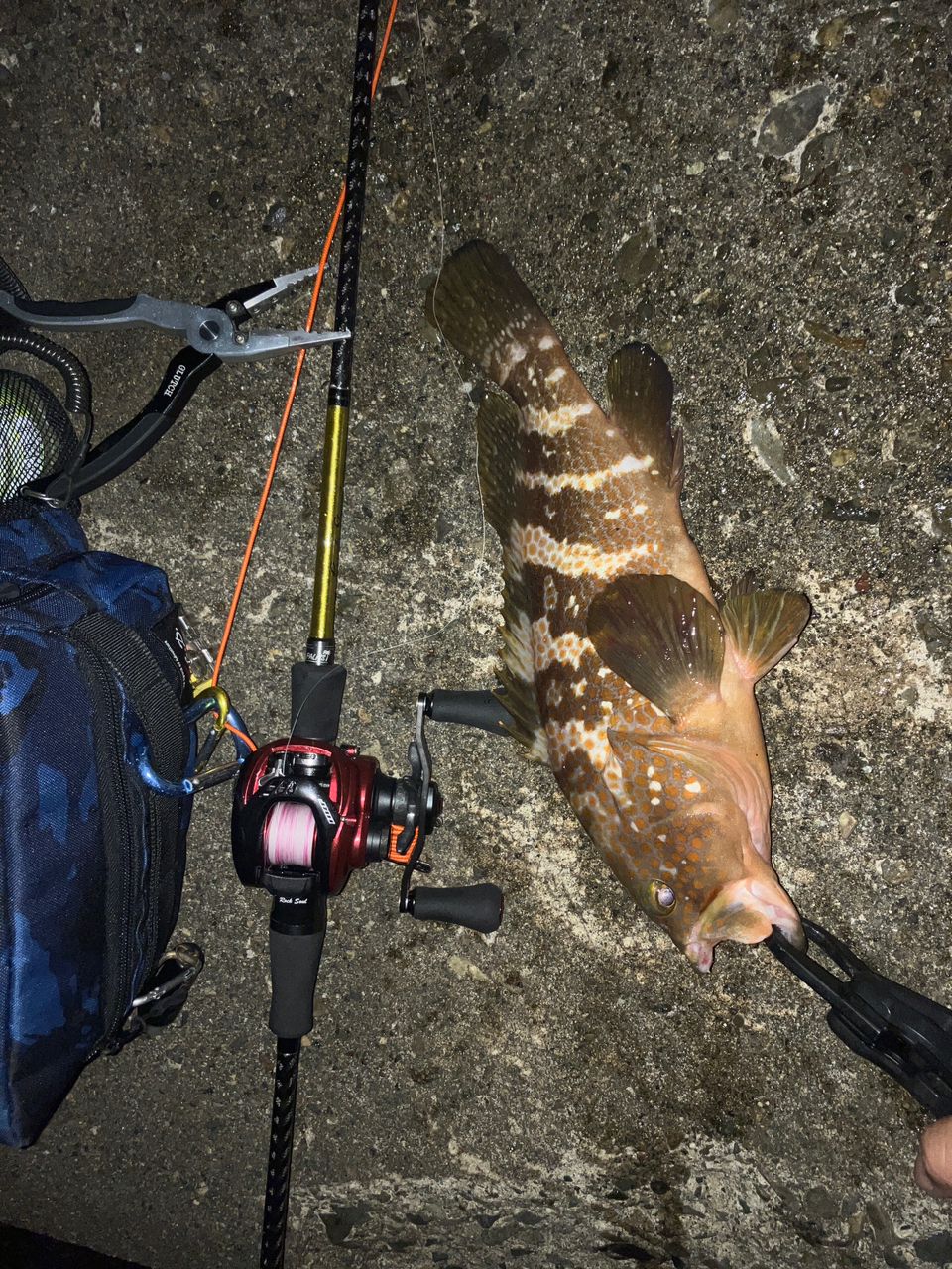 PALMS ラークシューター LSGC-71ML+の最安値・インプレ・釣果 | 本音の