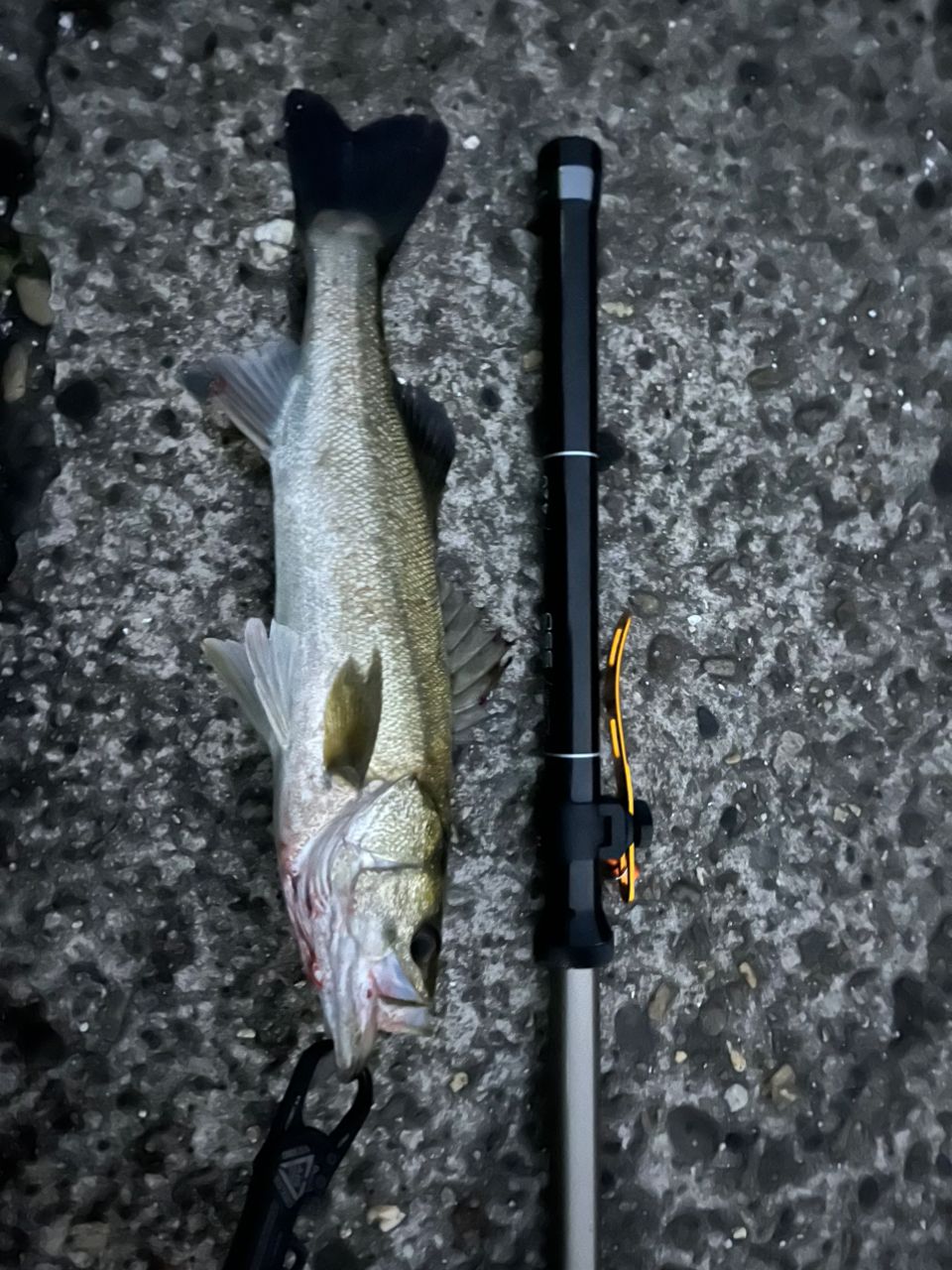 シマノディアルーナB86ML シマノ(SHIMANO) 23 ディアルーナ B86ML ディアルーナ[DIALUNA