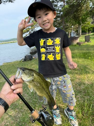 ラージマウスバスの釣果