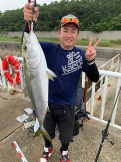 ブリの釣果