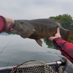 スモールマウスバス