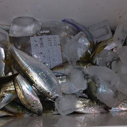 アジ