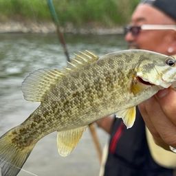 スモールマウスバス