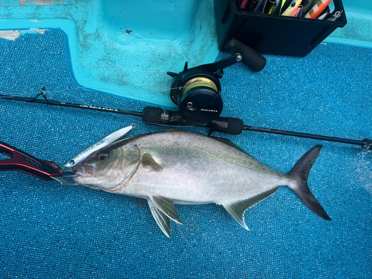 E-OSさんの釣果 3枚目の画像