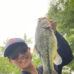 ラージマウスバス