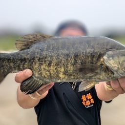 スモールマウスバス