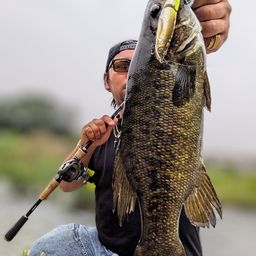 スモールマウスバス