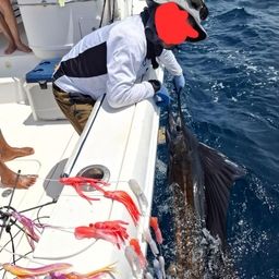 バショウカジキ