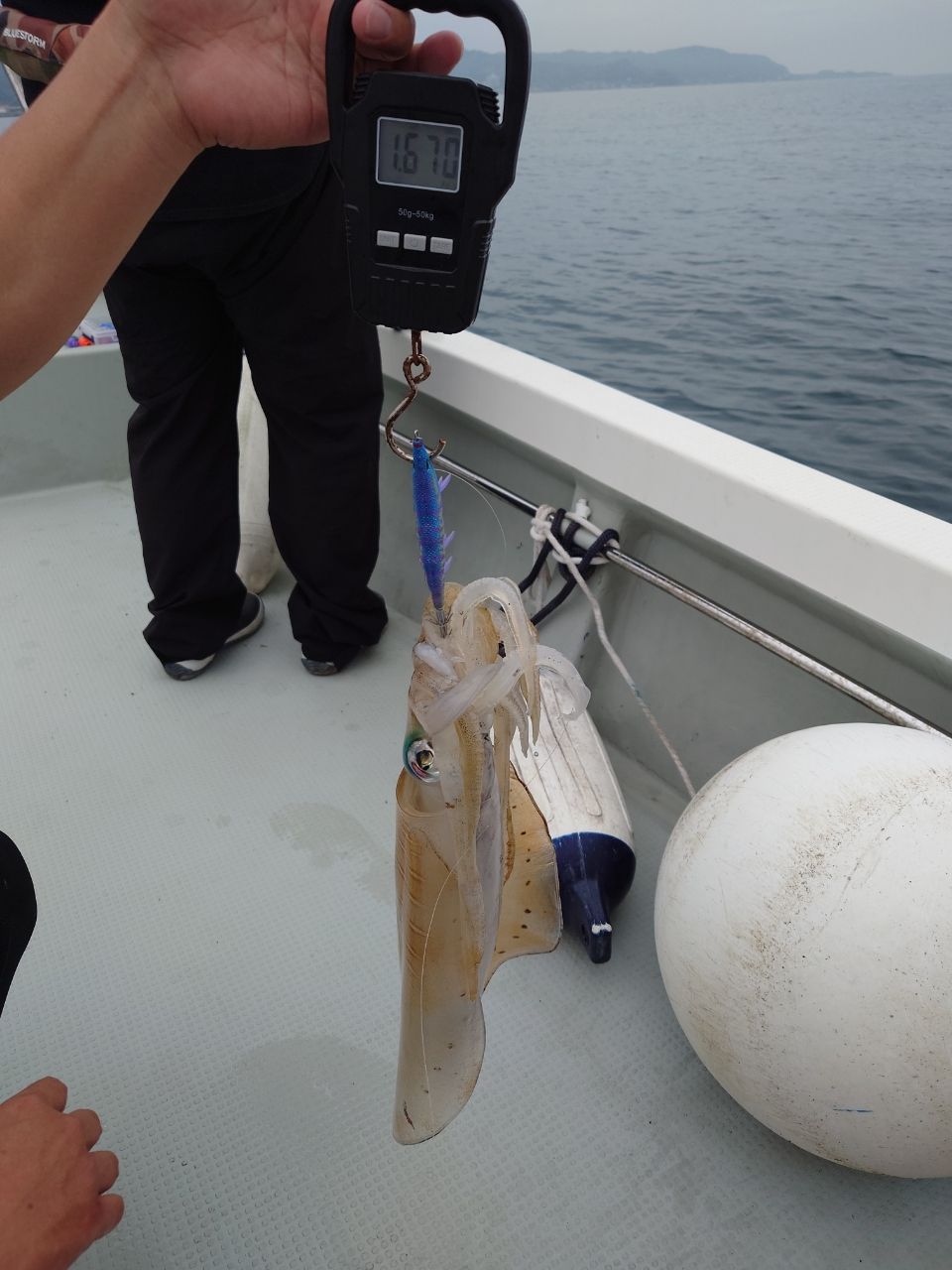 はくさい🎣🐟さんの釣果 2枚目の画像