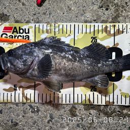 クロソイ