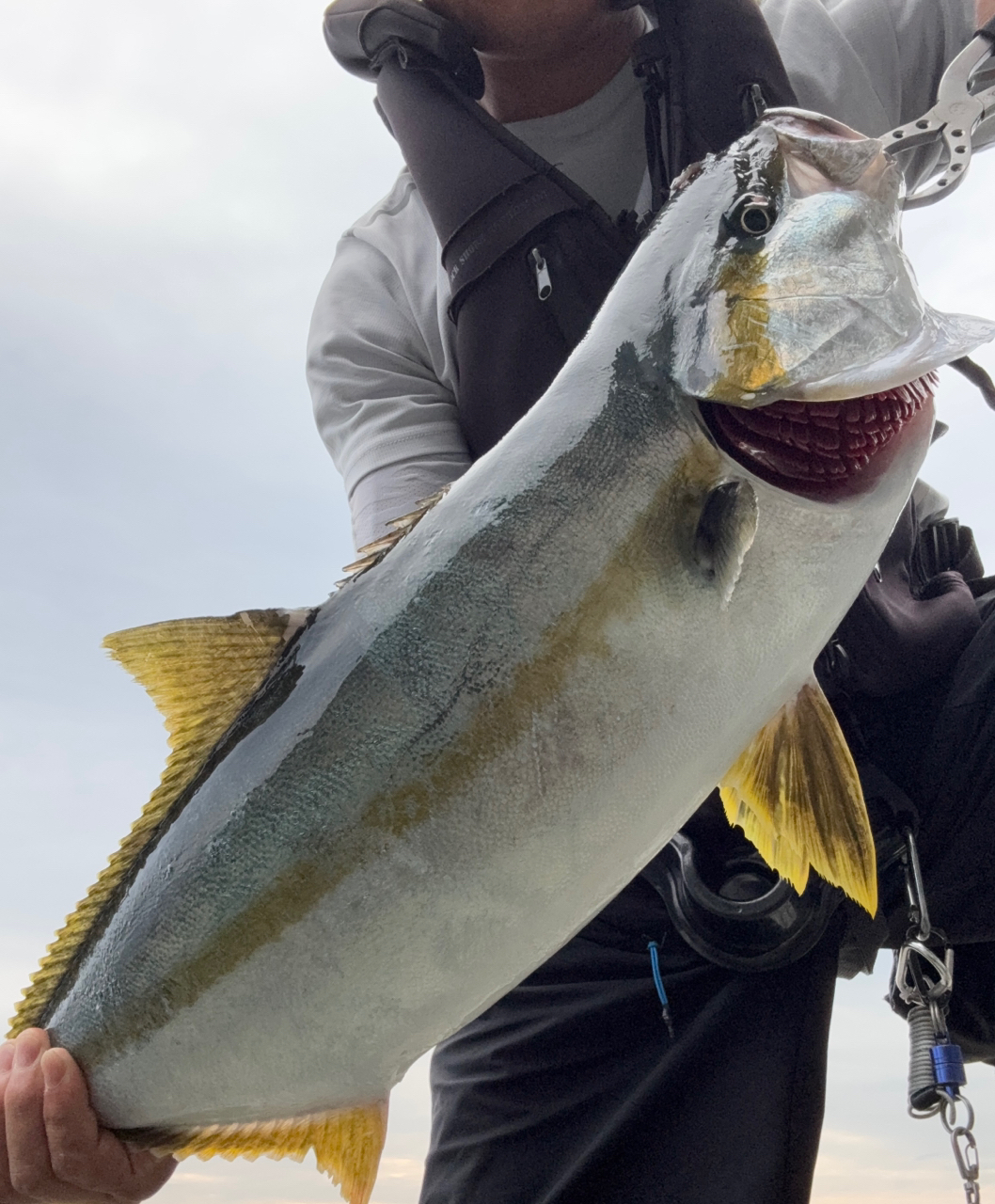 シマノ シマノ(SHIMANO) ステラ SW 10000HG 22年追加モデル